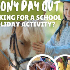 School holiday pony play day